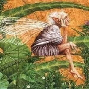 Meet your Posher, Alost